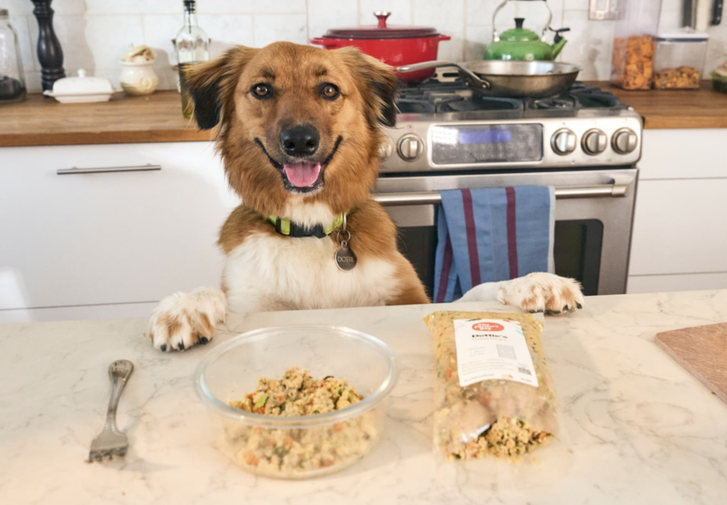 La nourriture fraîche pour chien est-elle plus facile à digérer ?