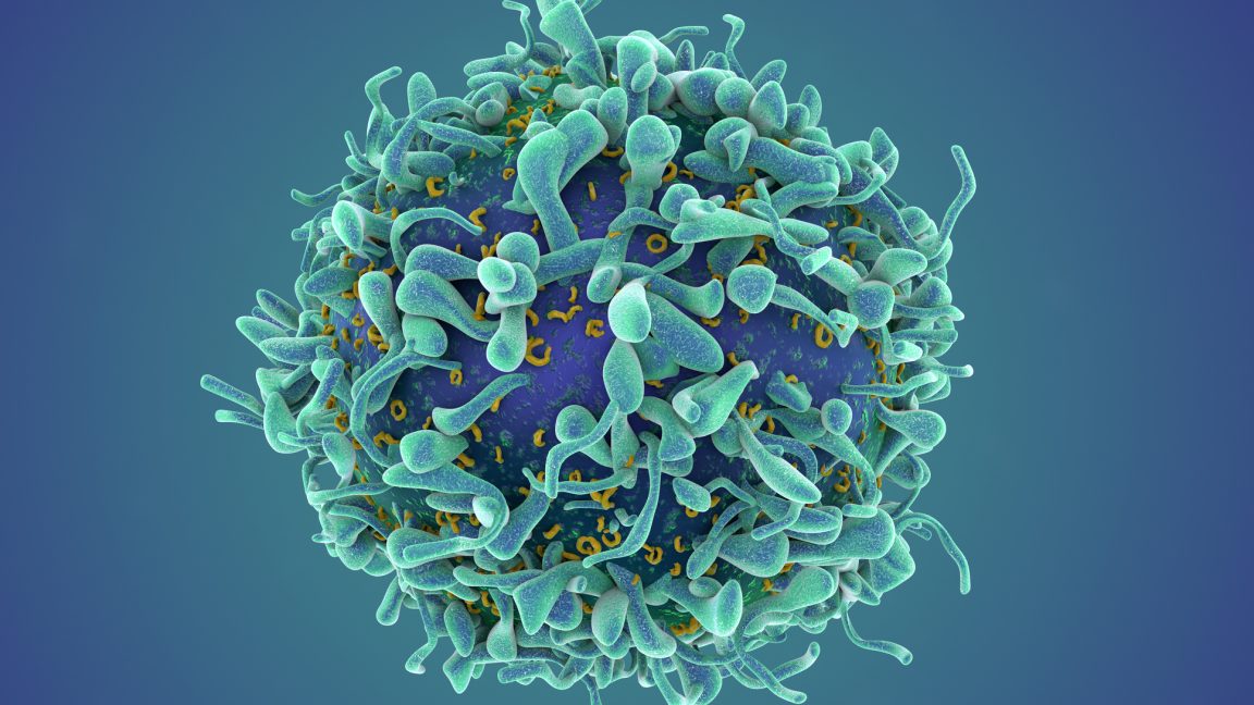 Un traitement révolutionnaire contre le cancer pourrait transformer les maladies auto-immunes