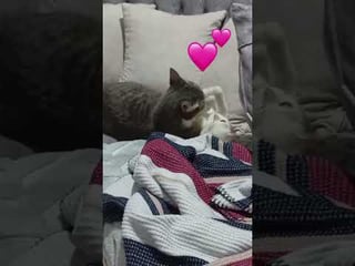 L’amour est magnifique 💕